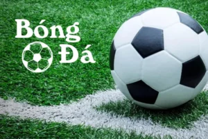 Khám Phá Luật Bóng Trong Cuộc Và Bóng Ngoài Cuộc Đầy Thú Vị