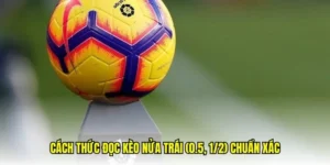 Kinh Nghiệm Chơi Kèo Chấp 0.5 Giúp Bạn Gia Tăng Tỷ Lệ Thắng Lớn