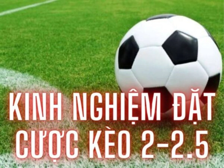 Bi kịch Hay Niềm Vui Khi Lựa Chọn Đặt Cược Kèo 2.25 Hôm Nay