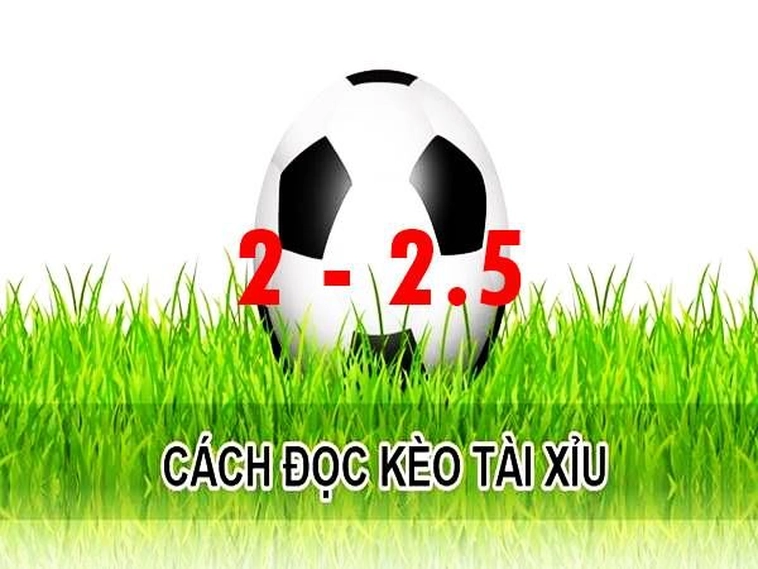 Bi kịch Hay Niềm Vui Khi Lựa Chọn Đặt Cược Kèo 2.25 Hôm Nay