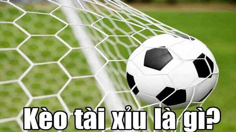 Những Phương Pháp Soi Kèo Tài Xỉu Bóng Đá Hiệu Quả Nhất Hiện Nay